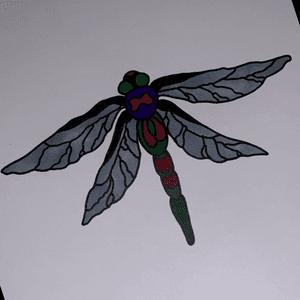 Dragonfly practice