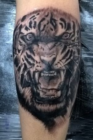 Tigre semi-realismo feito na panturilha !! Duração de 4horas e meia. (Primeira tatuagem feita por mim, final de curso) 