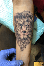 Got to tattoo lion on forearm , fun piece 💉🤘🏽🦁 #nocturnalinks #bishoprotary 