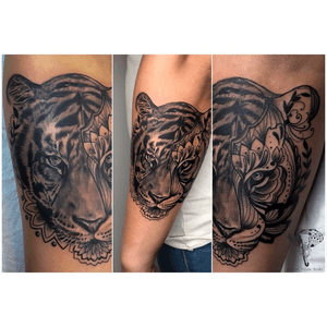 Mandala tiger. ✨