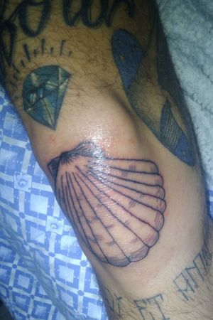 Seashell tattoo tattoodo conchiglia tattoo