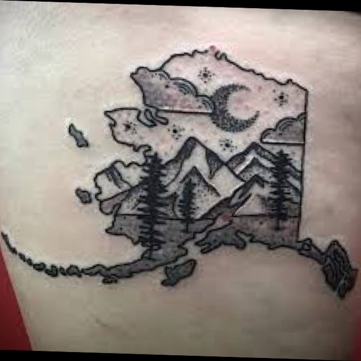 Tattoo uploaded by olivrgrantcochran • Alaskan inspiration! • Tattoodo