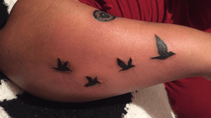 #tattoo #tatuaje #bird #birds #black #design #tattooaddict #tattooart 