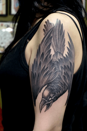 Cuervo black and gray, temporda corta de tatuajes en La Paz - Bolivia