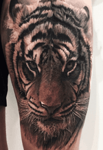 The realistic tiger portrait reference on the thigh