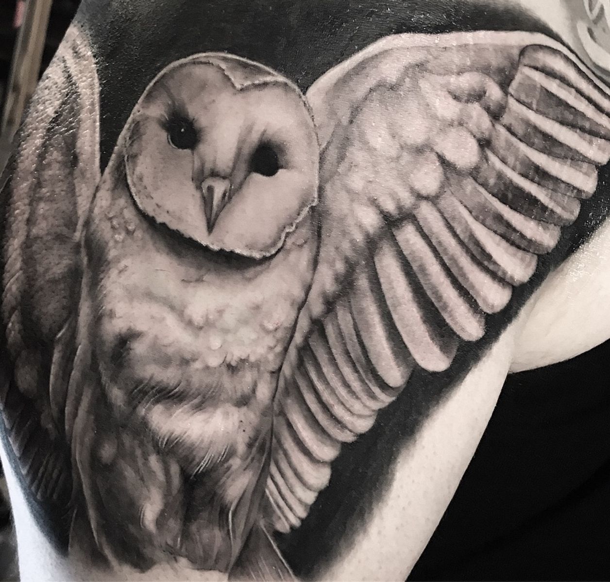 Tattoo uploaded by Julius Tattooer • deftones owls ink inked 