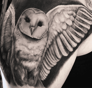 #deftones #owls #ink #inked #losangeles #tattoos #guyswithtattoos 