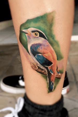 Free bird tattoo! #bird #realism #color #realismo 