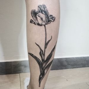 Tulip realistic botanical tattoo