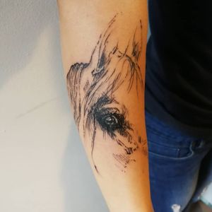 Horse graphic work tattoo