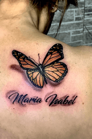 #butterfly #color #realistic 