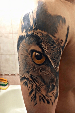 Owl in process...