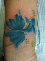 Fish #creacionestonos #fish #tattoos #tattooworld #pez #blue 