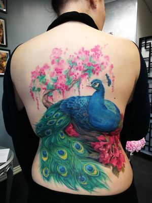 Full back peacock, coverup