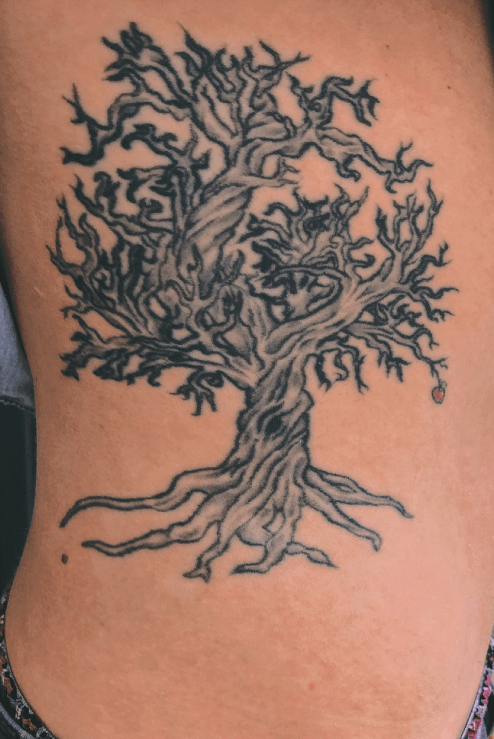 yew tree tattooTikTok Search