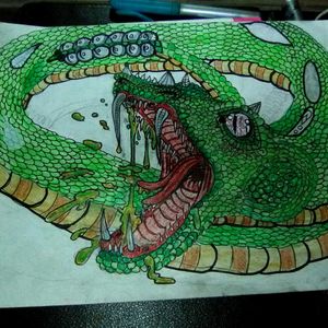 #snake #reptile #vibrant #color #neotraditional #vivid #kodysheeran #illustration #rattleanake #realism #poison #toxic #Dangerous #deadly #danger #venom #animals #fangs #bite 