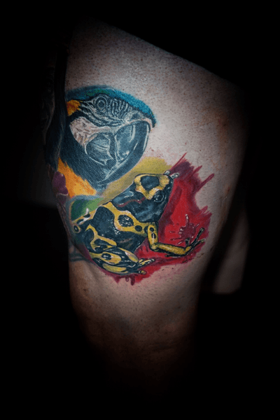 The minner frog tattoo -venezuelan tattoo themed in progress 