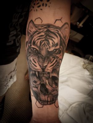 Black and grey tiger and skull