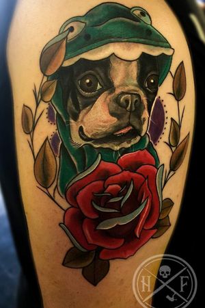 Neotraditional boston terrier tattoo
