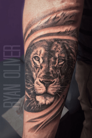 Lion- black and grey realism 