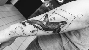 Orca, killerwhale, Black and white, fine, dotted