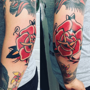 Traditional Rose in the elbow