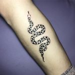 Tattoo by Albie aka albiemakestattoos #Albie #albiemakestattoo #80s #decorevival #surreal #illustrative #strange #funny #color #snake #reptile #animal #nature