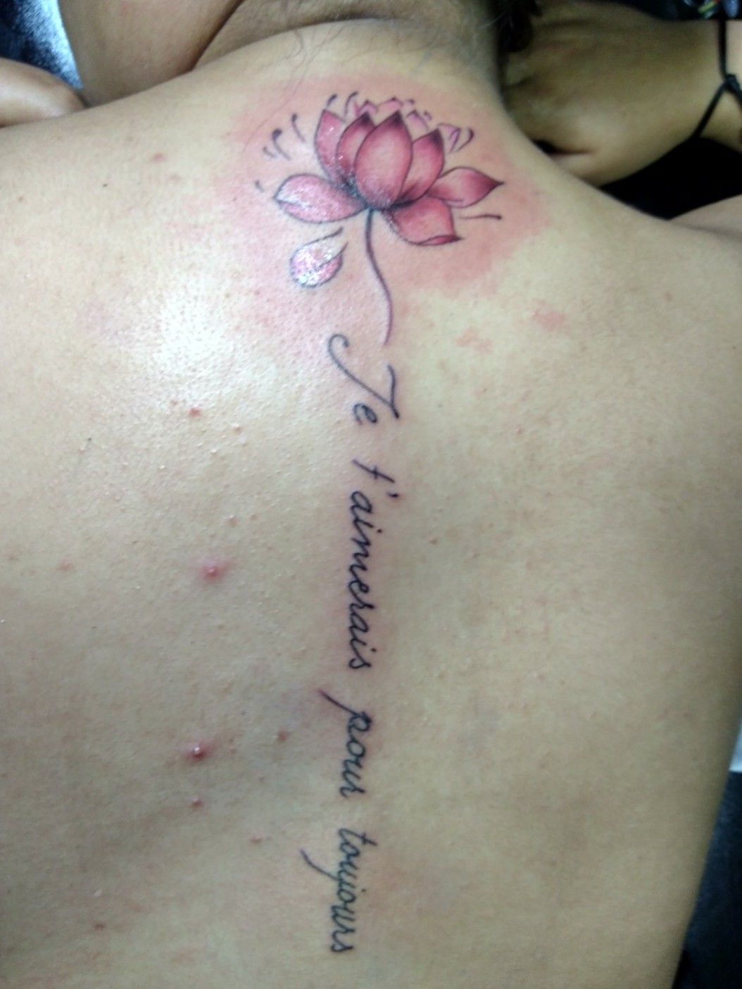Tattoo Uploaded By Hunter Tattoo Shop Bogota Tattoo Lettering Letteringtattoo Lotto Lottotattoo Fullcolor Fullcolortattoo Eternalink Huntertattooshopbogota 7794 Tattoodo