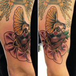 Traditional orchid vitrola cover up