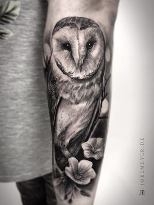 Barn Owl Realistic Tattoo Black and Grey
