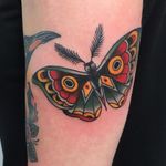 Tattoo by Guen Douglas #GuenDouglas #mothtattoos #mothtattoo #moth #butterfly #insect #nature #animal #color #traditional