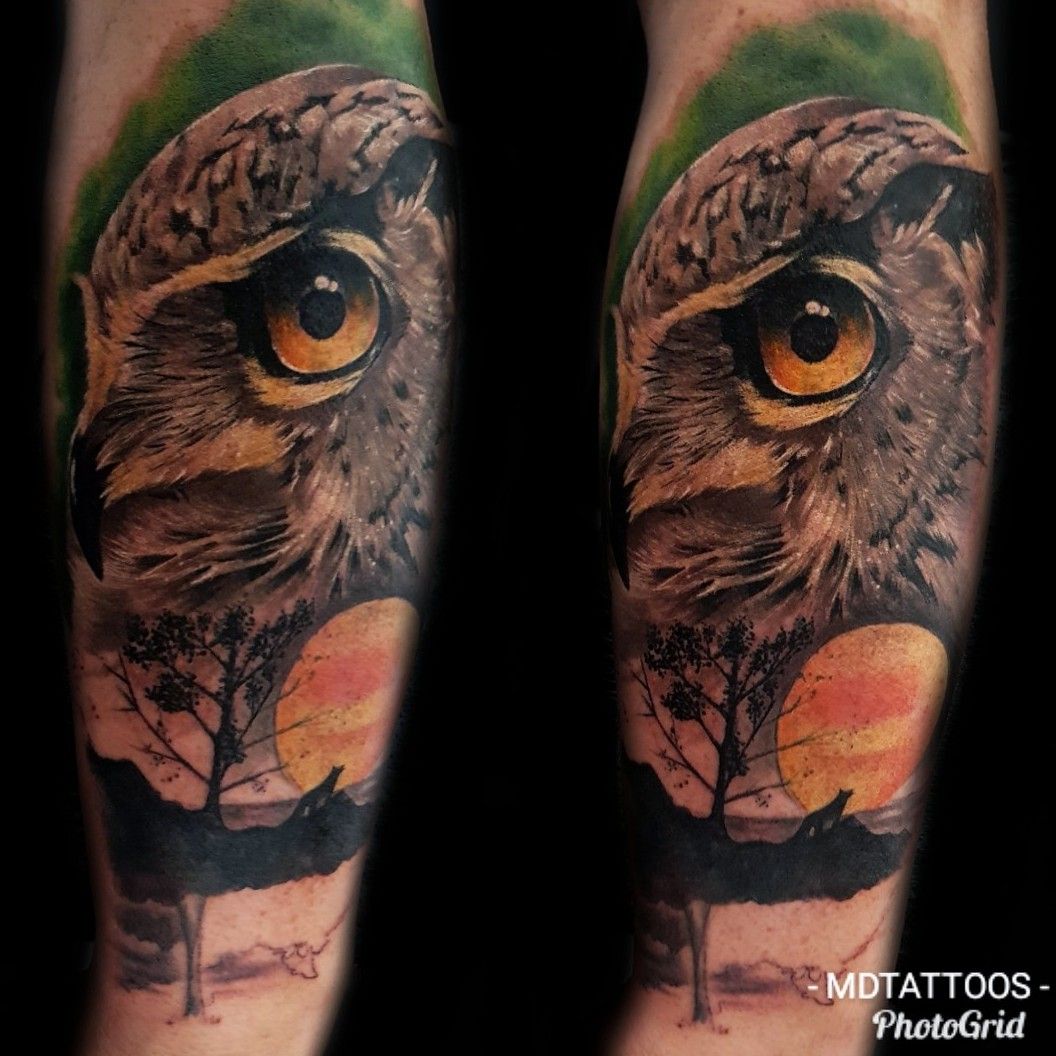 15 Striking Owl Tattoo Designs to Inspire Wisdom