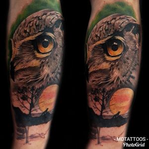 #did this kool tattoo #owl #owltattoo #animaltattoo #bird #realism #color #colour #sun #wolf 