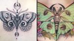 Tattoo on the left by George aka geeorgettt and tattoo on the right by Samantha Smith #SamanthaSmith #scragpie #George #Geeorgettt #mothtattoos #mothtattoo #moth #butterfly #insect #nature #animal