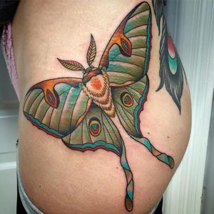 Tattoo by Chris Stuart #ChrisStuart #mothtattoos #mothtattoo #moth #butterfly #insect #nature #animal #color #neotraditional
