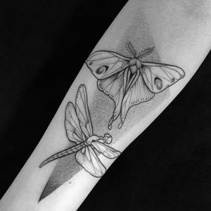 Tattoo by Eve Kirarte #EveKirarte #mothtattoos #mothtattoo #moth #butterfly #insect #nature #animal #dragonfly #dotwork #illustrative #blackwork