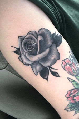 Opaque grey rose. #rose #greyrose 