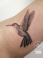 Colibri #colibri #colibriTattoo #realismo #realism #microtattoo #tattoobarcelona 