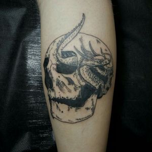 Skull and dragon 