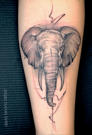 Graphic tattoo #elephant #inked #mystyle #berlintattoo #inkedgirls #love #art #custom