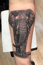 #tattooart#elefantetattoo#inktattoo#blackAndWhite#tattoobody#tattooartist 