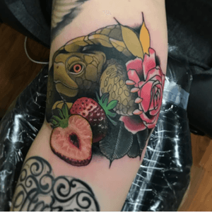 Turtle, Strawberries, and Rose