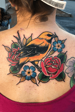 Oriole and flowers- Bird and flowers