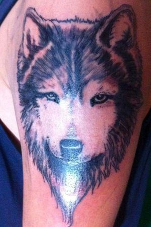 Tatuaje de lobo 🐺 