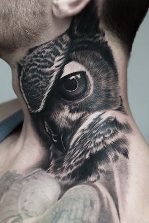 Owl