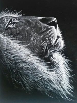 #lion #drawings #canvass #teampoisoniv 