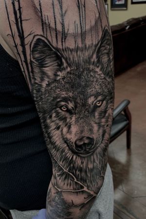 Realistic wolf portrait with moon and trees