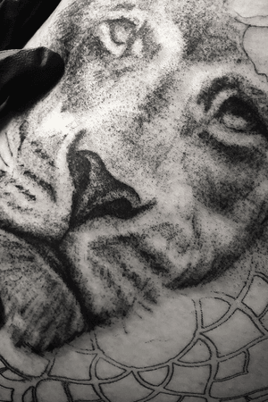 Lion dotwork