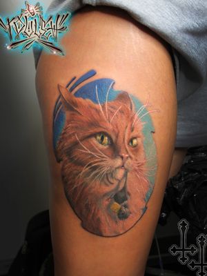 #cat #tattoocat #colortatto 
