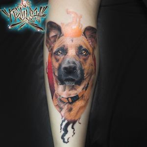 #dog #dogtattoo #tattoocolor #colortattoo #realistic #realistictattoo 